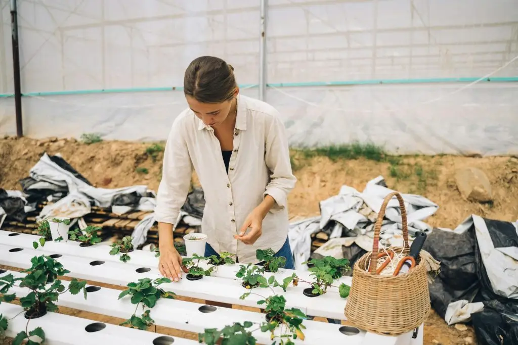 Nestlé & UNESCO offer youth grants to empower young food innovators