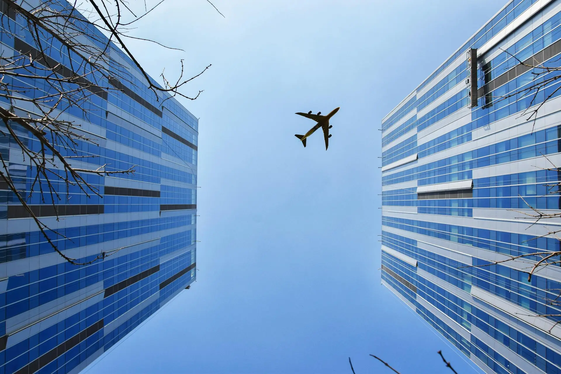 Plane in the sky