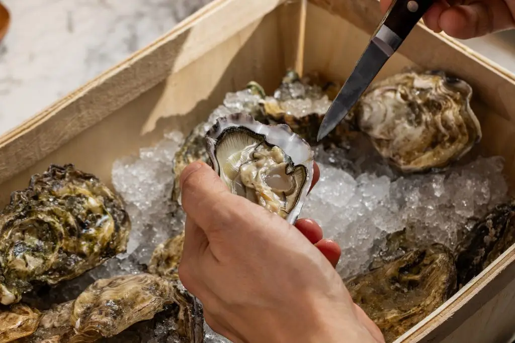 John Dory Seafood Market opens at The Market Island in Dubai Festival City Mall, introducing the UAE's first head-to-tail sustainable seafood ecosystem.