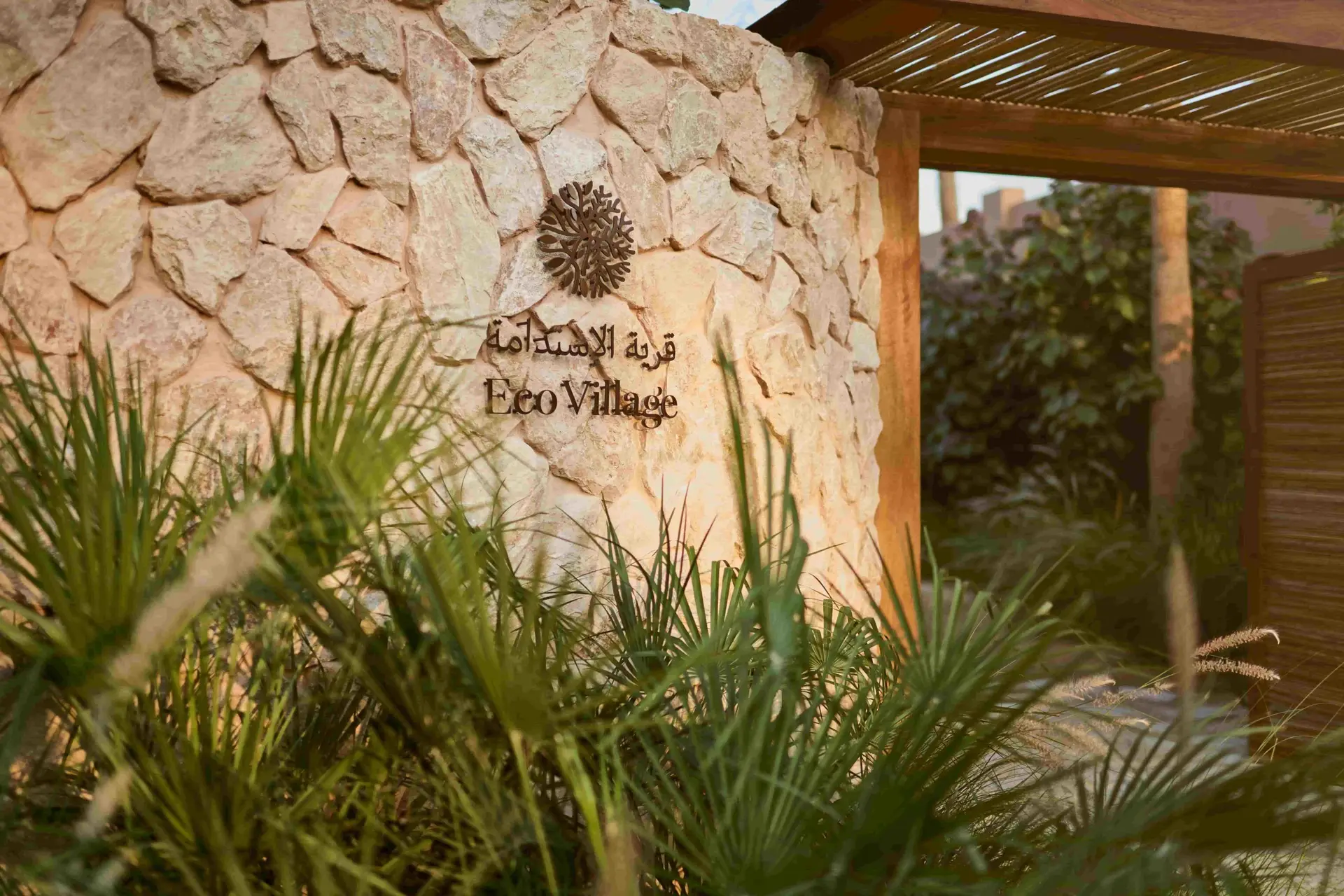 Explore the Jumeirah Eco Village at Madinat Jumeirah. Discover turtle rehabilitation, coral restoration, and hydroponic farming at Dubai’s premier sustainability destination.