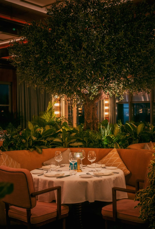 Discover the most sophisticated Valentine's Day experiences in Dubai, from Pan-Asian buffets at Toshi to refined Italian dining at Signor Sassi and artisanal coffee gifts.