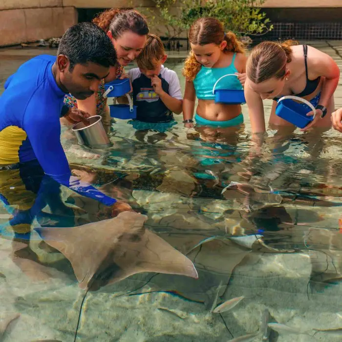 Atlantis Dubai has renewed its AZA accreditation, confirming its status as a leader in marine animal care and conservation in the UAE. Discover the impact of the Atlantis Atlas Project and the new Lost World Aquarium.
