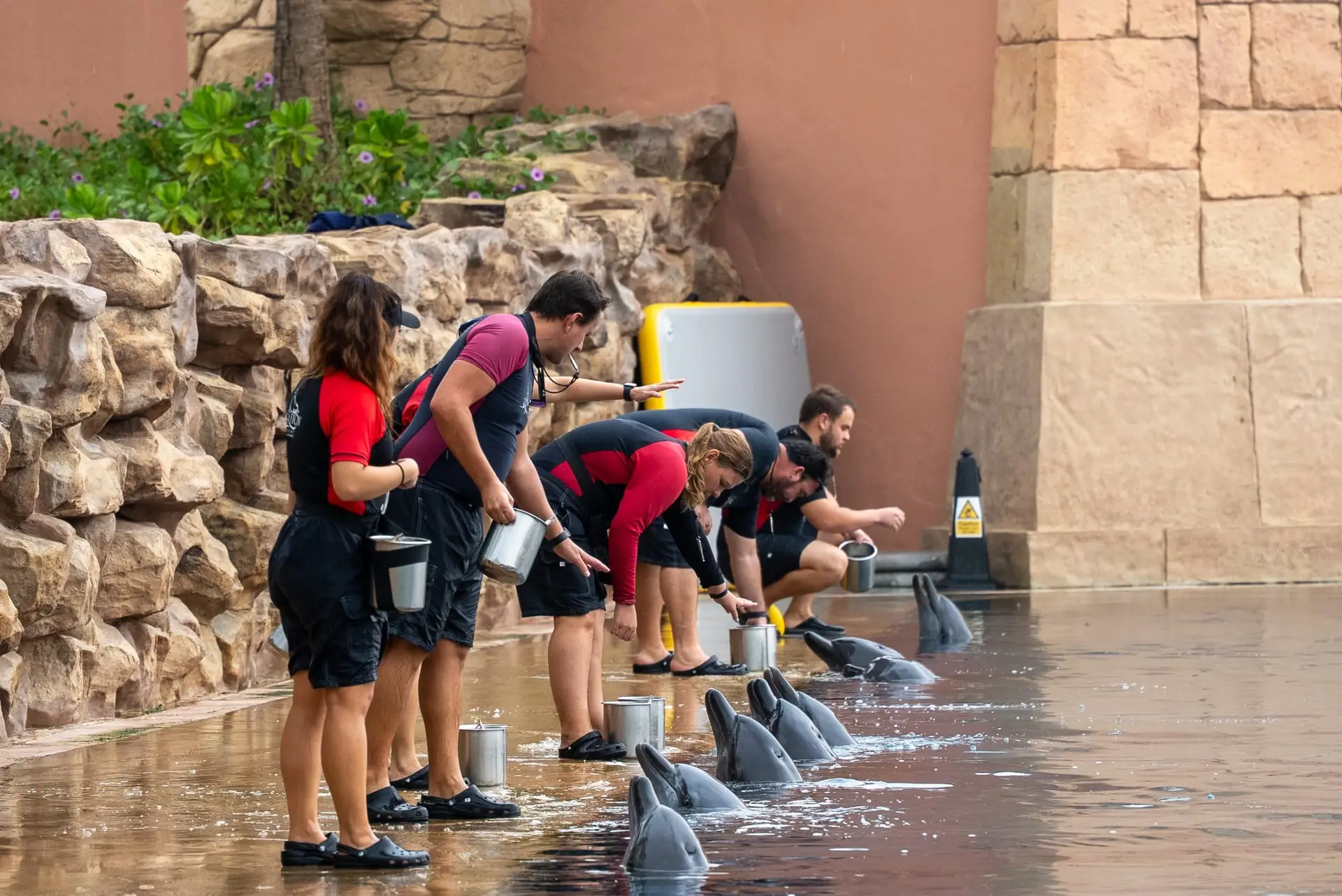 Atlantis Dubai has renewed its AZA accreditation, confirming its status as a leader in marine animal care and conservation in the UAE. Discover the impact of the Atlantis Atlas Project and the new Lost World Aquarium.