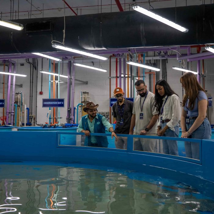 Atlantis Dubai has renewed its AZA accreditation, confirming its status as a leader in marine animal care and conservation in the UAE. Discover the impact of the Atlantis Atlas Project and the new Lost World Aquarium.
